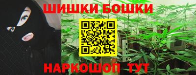 прущие грибы Новодвинск