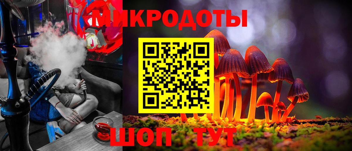Галлюциногенные грибы Psilocybine cubensis Саянск